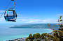 Arthurs Seat Eagle