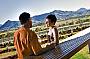 Karoomba Vineyard & Lavender Fields