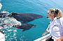 Captain Kerry Lopez and the whales