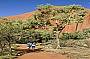 Uluru base