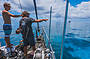 Ont eh lookout for the best dive spots