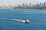 Whale Watching - PM Cruise