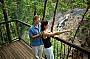 One Way Skyrail Experience (departing from Kuranda)