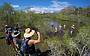 Tidal Estuary